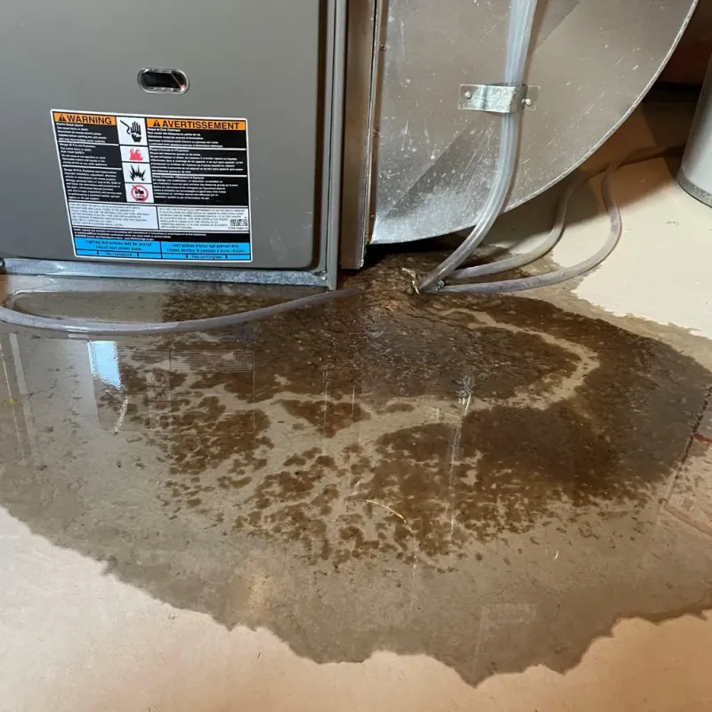 Appliance Leak Cleanup in Crown Point, IN